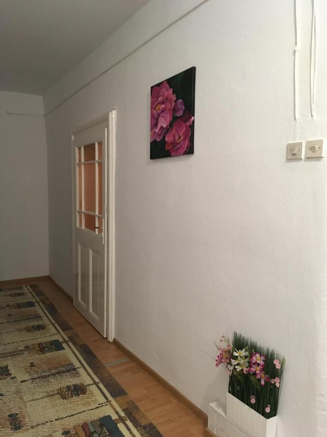 House Centrul Istoric Ll Apartman Nagyszeben Kültér fotó